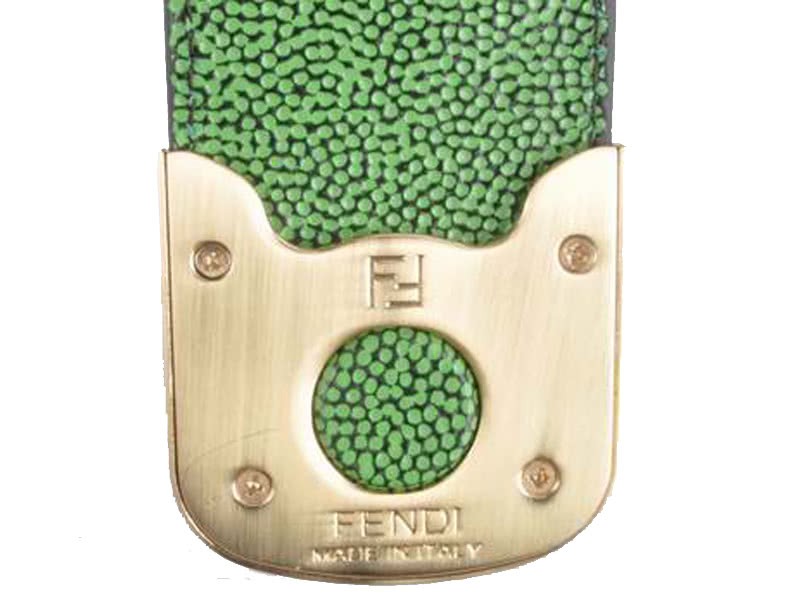 Fendi Chameleon Shoulder Bag Green 6
