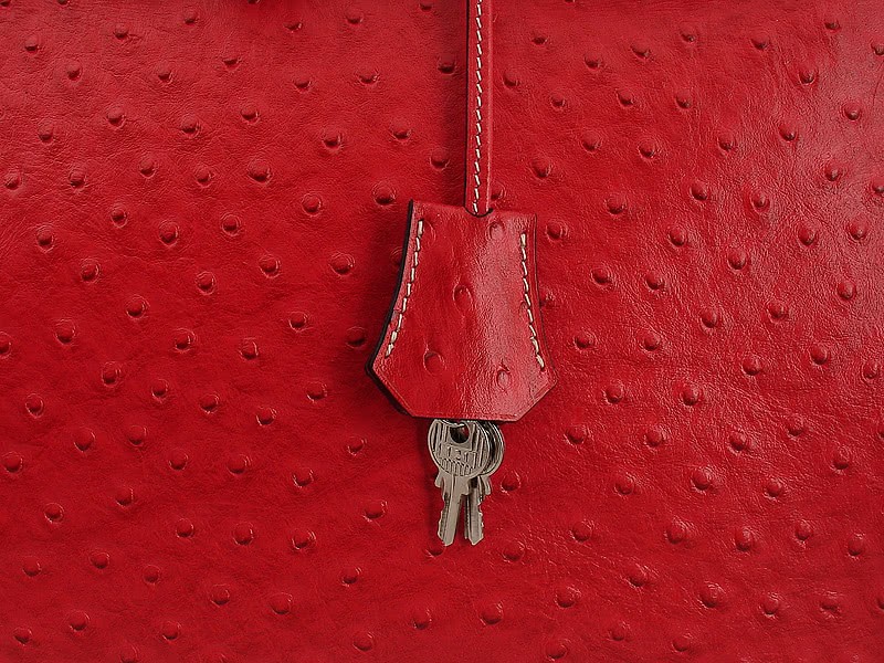 Hermes Birkin 35 Cm Ostrich Rouge Vif 8
