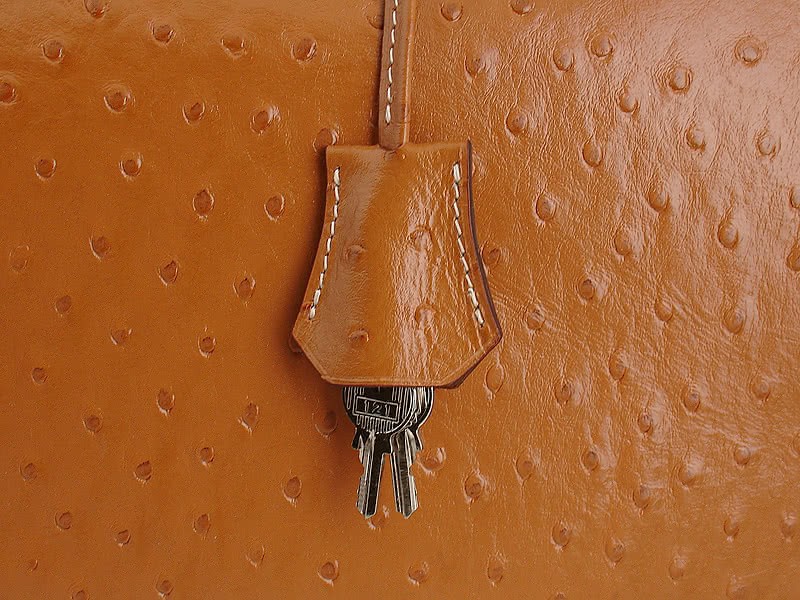 Hermes Birkin 35 Cm Ostrich Gold 8