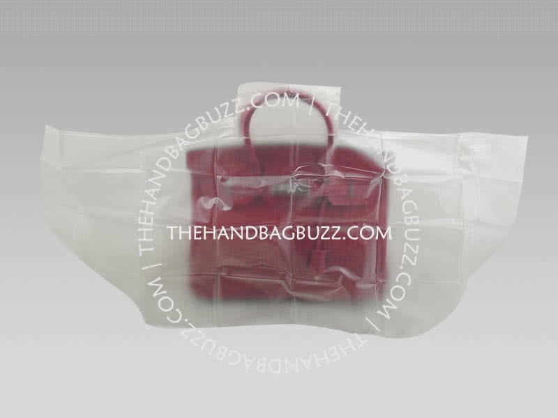 Hermes Evelyne Bag Pm Red 13